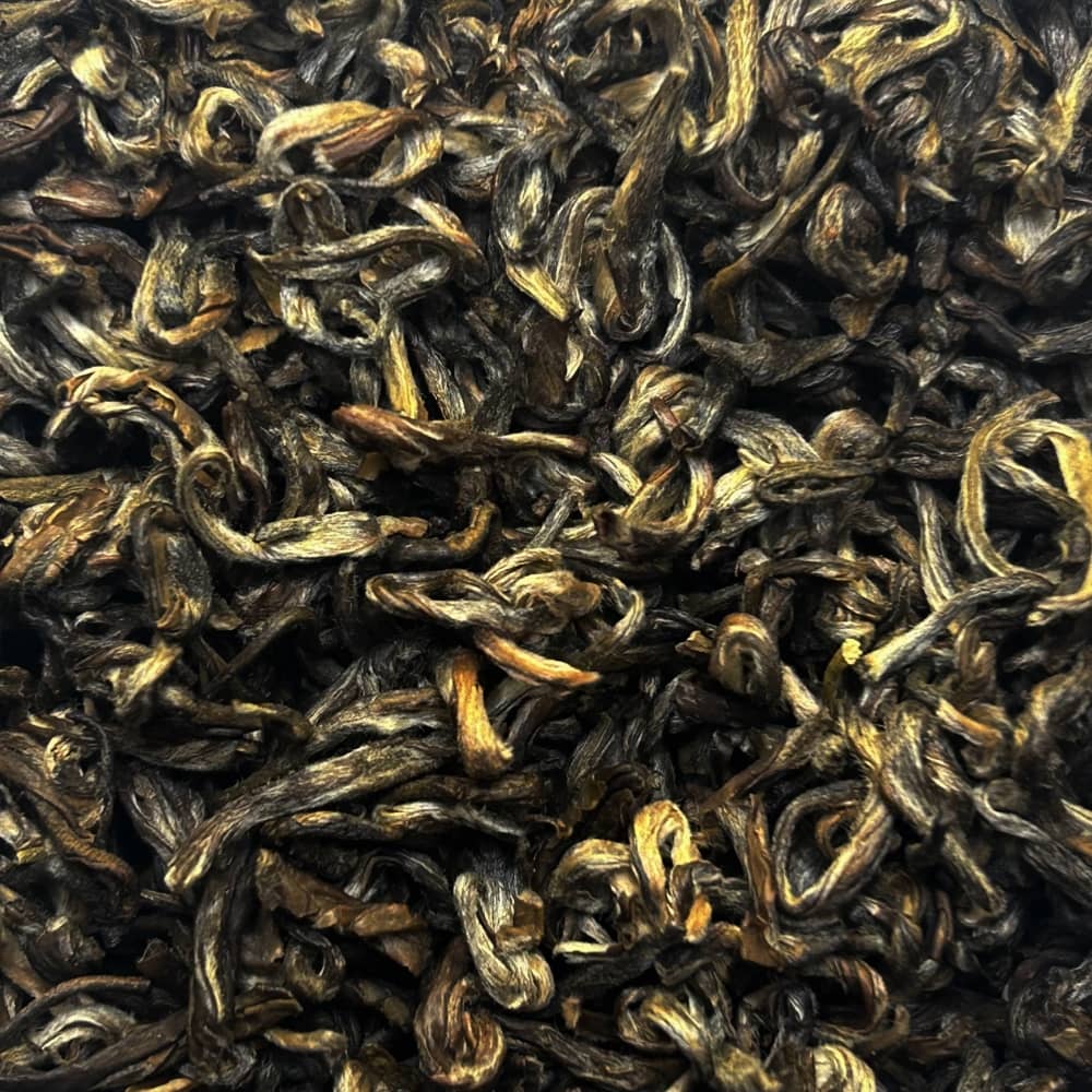 Jasmin Qucha Imperial