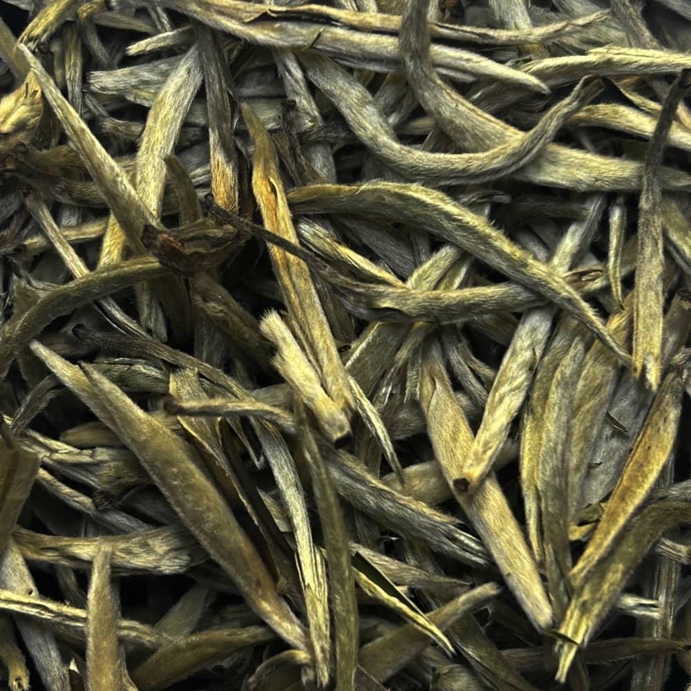 Yin Zhen Silverneedle